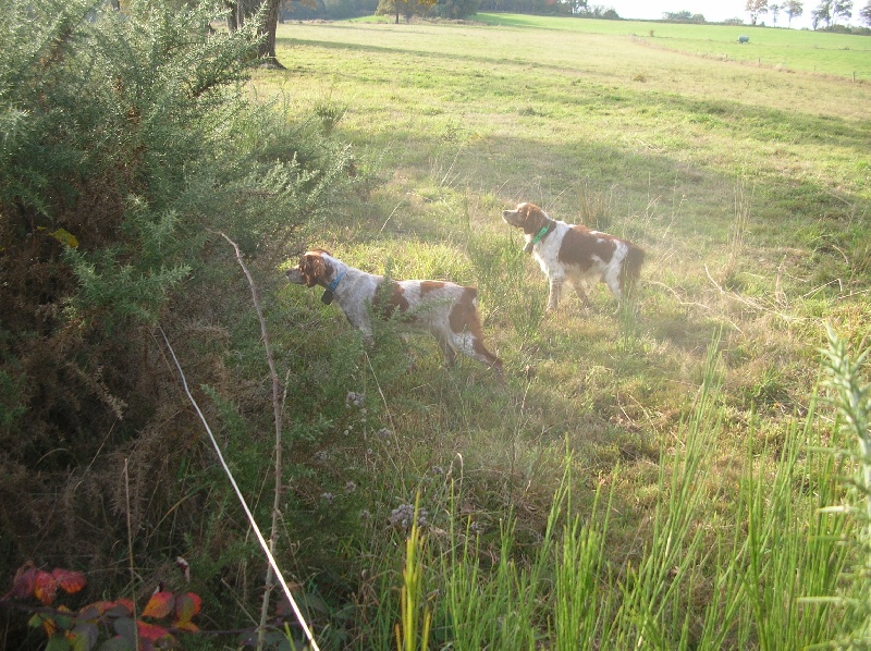 chasse